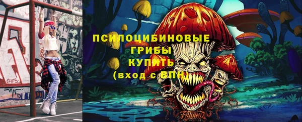 герыч Арсеньев