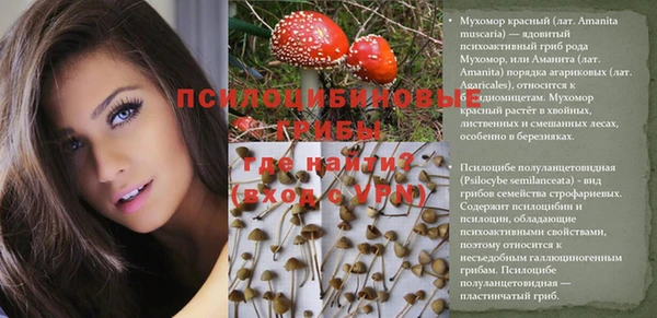 метадон Армянск