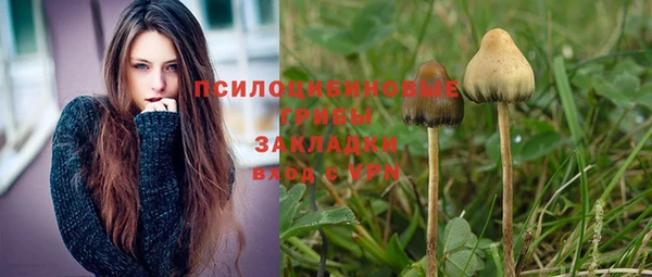 ешки Верхний Тагил
